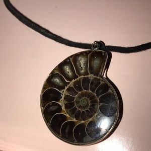 ‼️SOLD‼️ Nautilus shell necklace